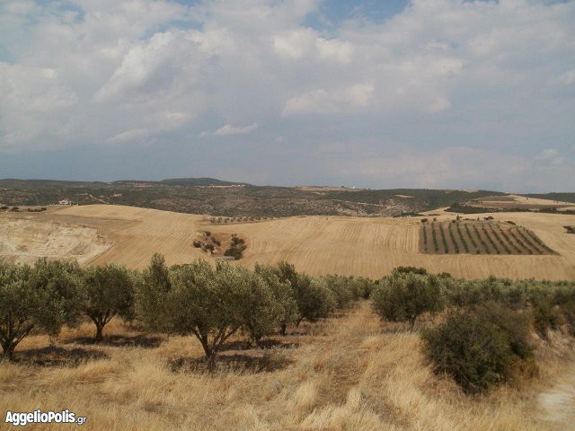 Other 17.000sqm for sale-Thermi » Agios Antonios