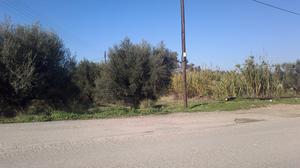 Οικόπεδο 3.500 τ.μ. για πώληση, Αχαΐα, Αίγιο-thumb-5