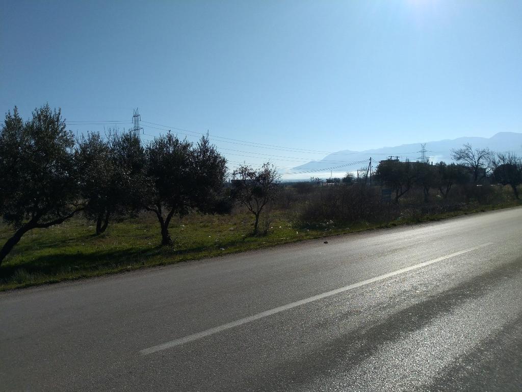 Αγροτεμάχια 12.000 τ.μ. προς πώληση, Νέα Μαγνησία Λαμίας