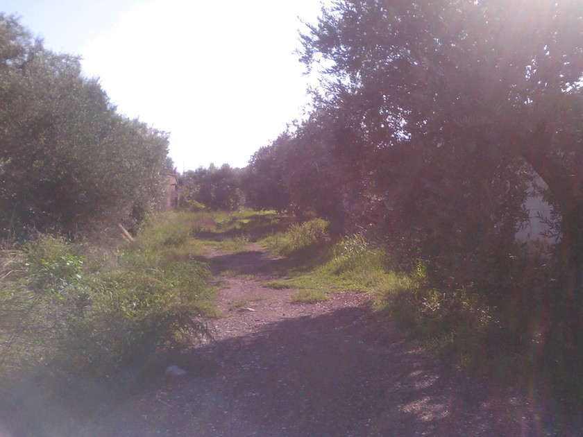 Parcel 14.000sqm for sale-Stilida » Melissia