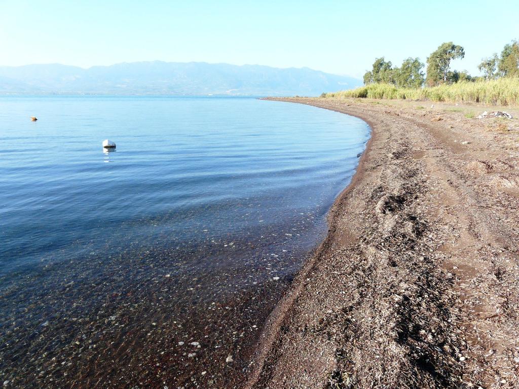 Γη 161.000 τ.μ. προς πώληση, Πεταράδες