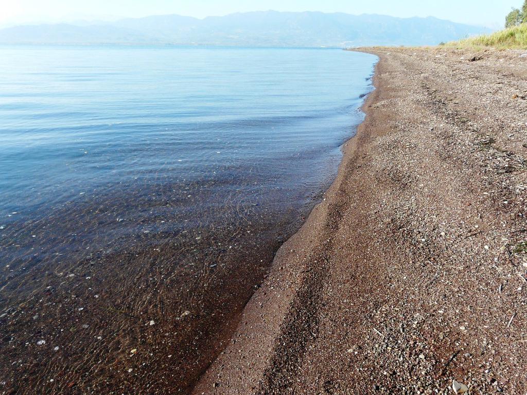 Γη 161.000 τ.μ. προς πώληση, Πεταράδες