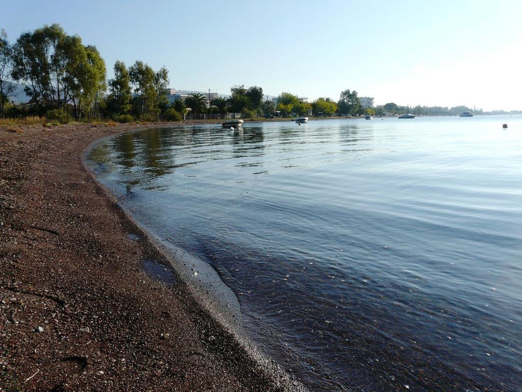Γη 161.000 τ.μ. προς πώληση, Πεταράδες