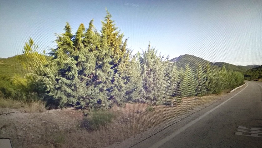 Parcel 17.260sqm for sale-Lamia » Kalamaki