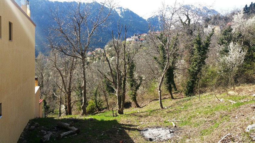 Land plot 600sqm for sale-Gravia » Kaloskopi