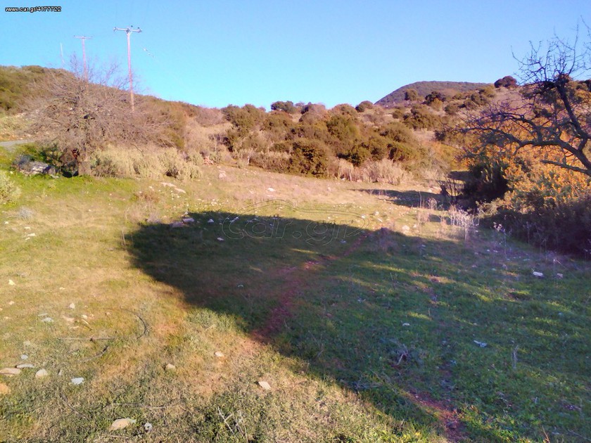 Αγροτεμάχια 1.200 τ.μ. για πώληση