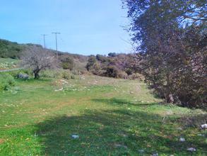 Αγροτεμάχια 1.200 τ.μ. για πώληση, Μεσσηνία, Αυλώνα-thumb-2