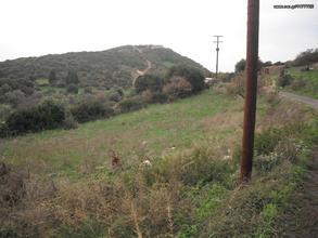 Αγροτεμάχια 1.200 τ.μ. για πώληση, Μεσσηνία, Αυλώνα-thumb-6