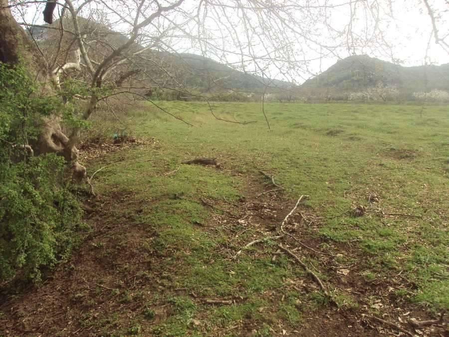 Αγροτεμάχια 12.740 τ.μ. προς πώληση, Νέος Παλαμάς