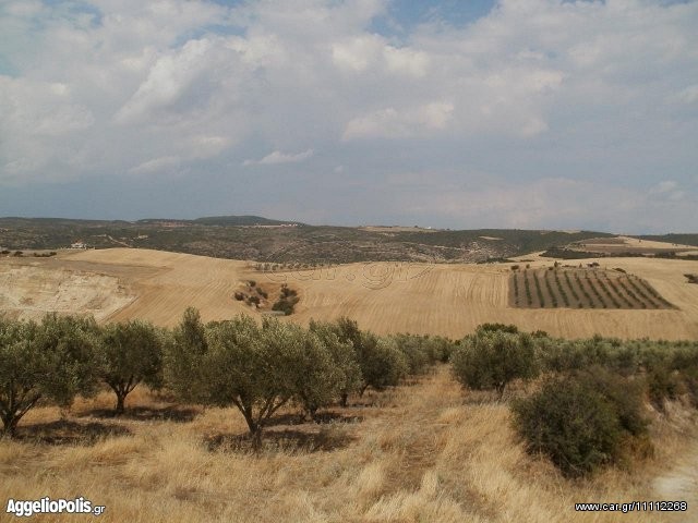 Parcel 17.000sqm for sale-Nea Paralia