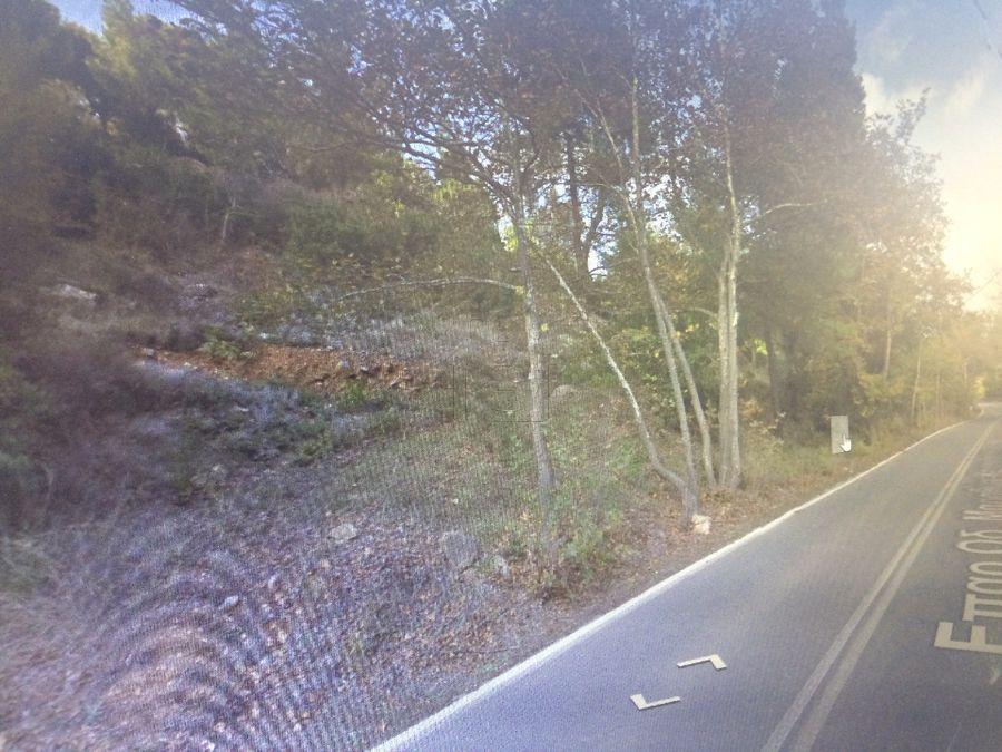Αγροτεμάχια 4.500 τ.μ. πρός πώληση, Αθήνα - Ανατολικά Προάστια, Βαρνάβας