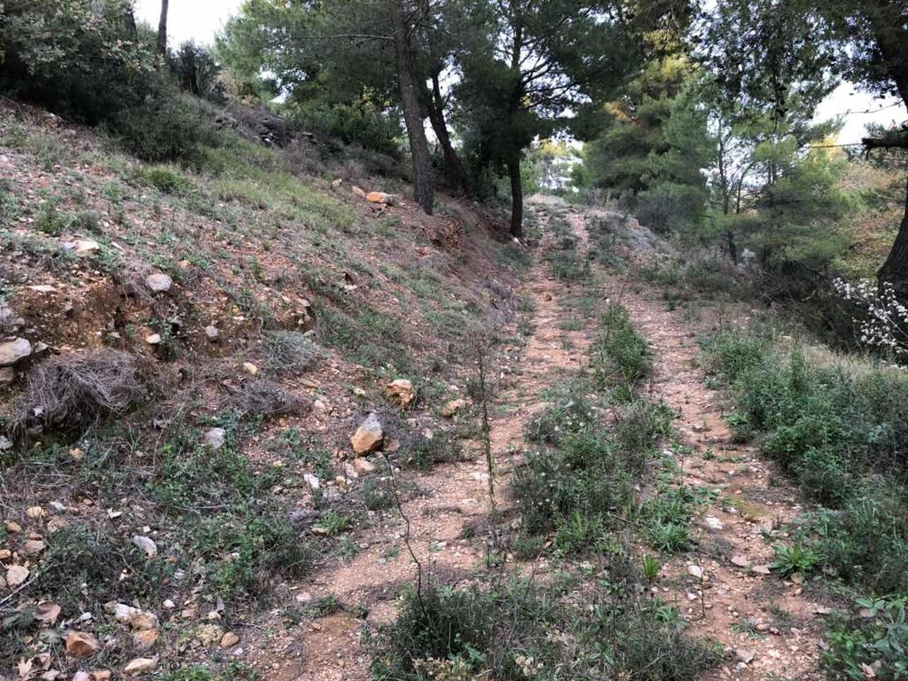 Αγροτεμάχια 4.500 τ.μ. πρός πώληση, Αθήνα - Ανατολικά Προάστια, Βαρνάβας