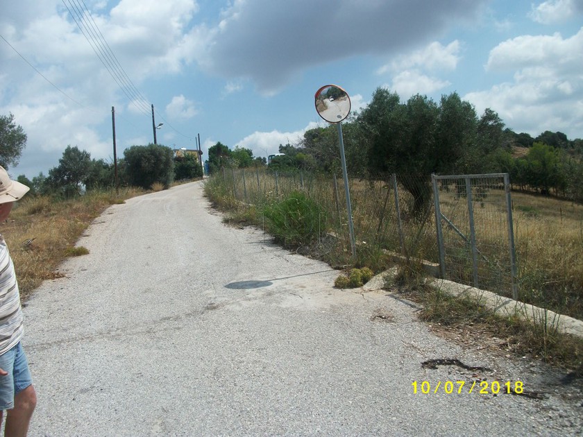 Αγροτεμάχια 4.390 τ.μ. για πώληση