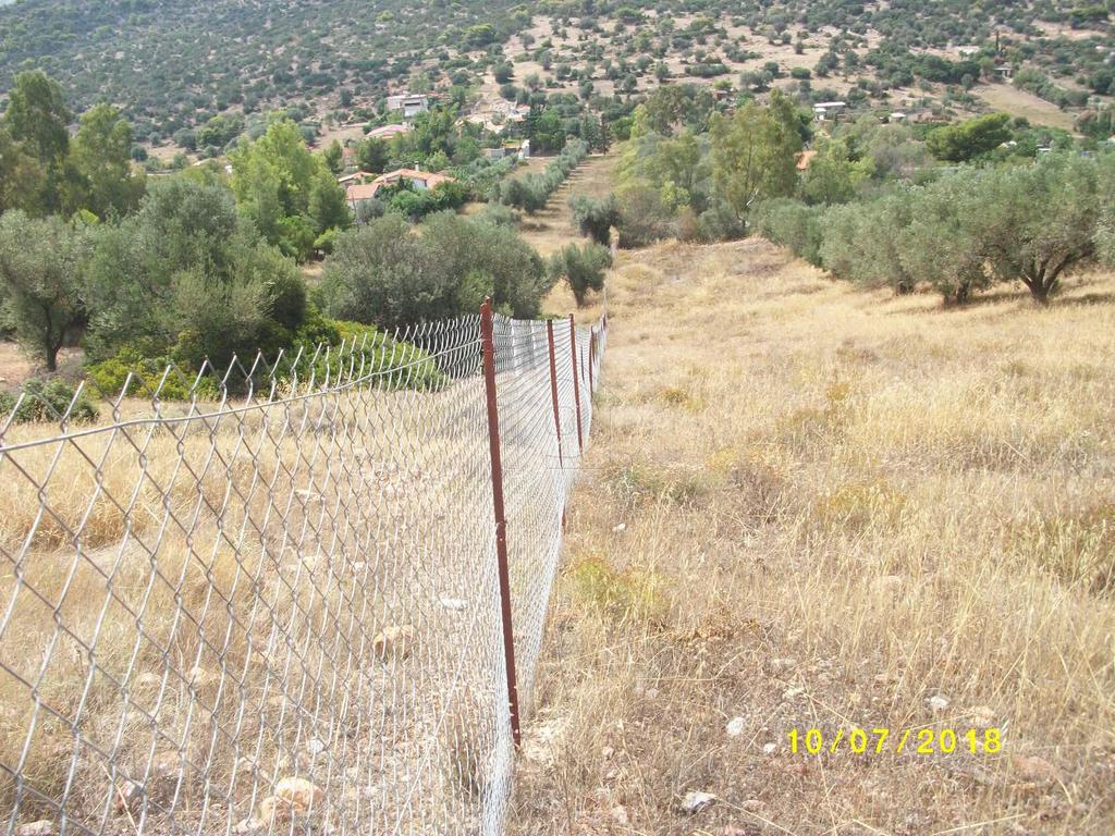 Αγροτεμάχια 4.390 τ.μ. προς πώληση, Αθήνα - Ανατολικά Προάστια, Κορωπί