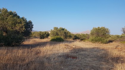 Land plot 4.673sqm for sale-Akrotiri » Kathiana