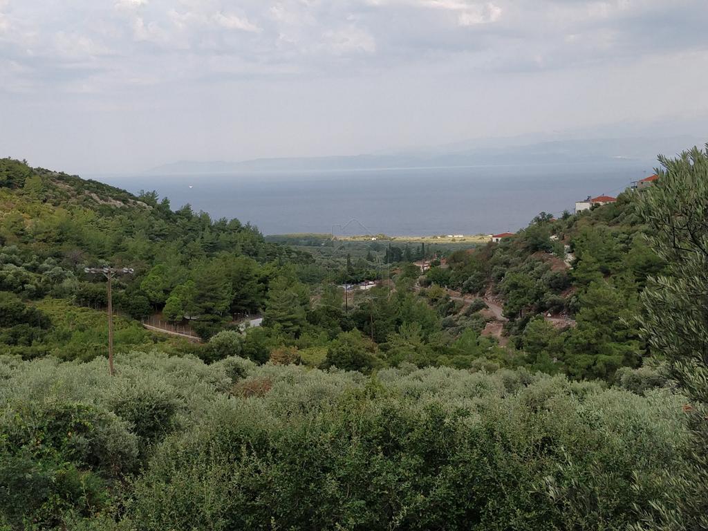 Αγροτεμάχια 5.500 τ.μ. προς πώληση, Καλλιράχη