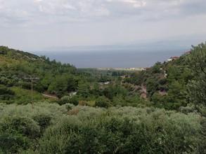 Αγροτεμάχια 5.500 τ.μ. προς πώληση, Καλλιράχη-thumb-3