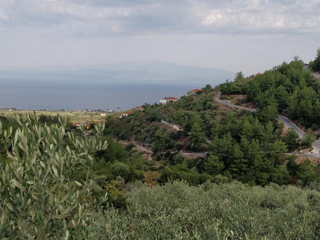 Αγροτεμάχια 5.500 τ.μ. προς πώληση, Καλλιράχη