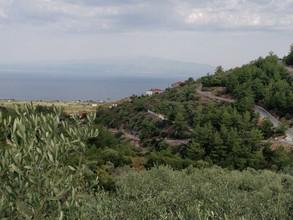Αγροτεμάχια 5.500 τ.μ. προς πώληση, Καλλιράχη-thumb-4
