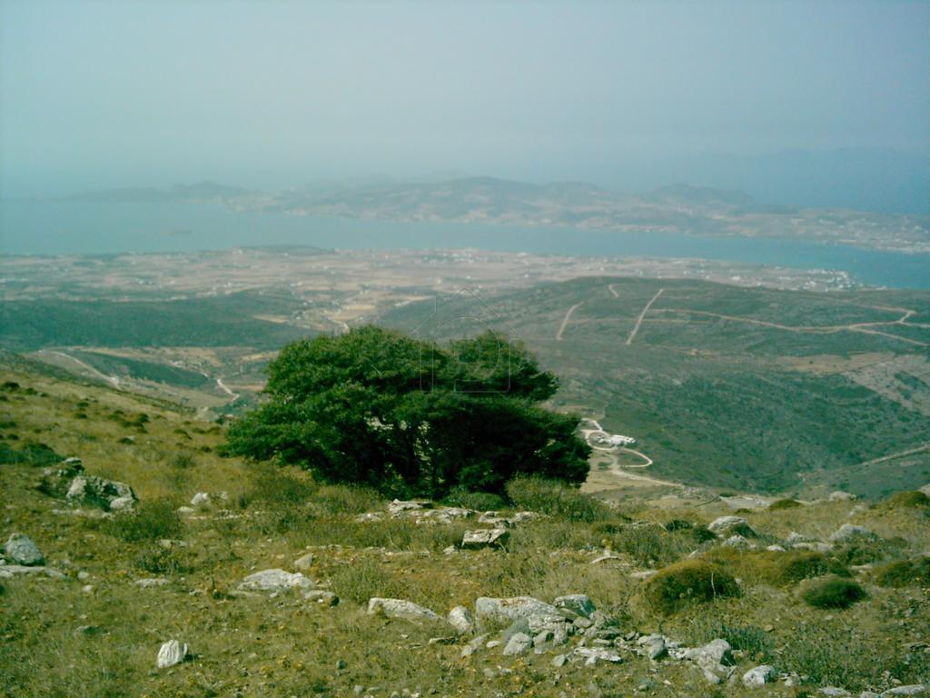 Οικόπεδο 17.034 τ.μ. προς πώληση, Ανερατζά