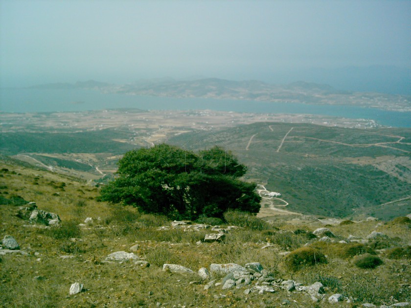 Land plot 17.034 sqm for sale