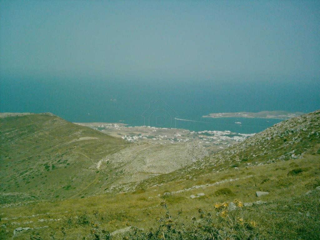 Οικόπεδο 17.034 τ.μ. προς πώληση, Ανερατζά