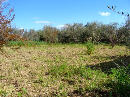 Land plot 648sqm for sale-Chios » Chios Town