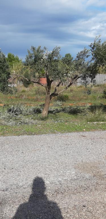 Αγροτεμάχια 1.653 τ.μ. πρός πώληση, Αθήνα - Ανατολικά Προάστια, Κορωπί