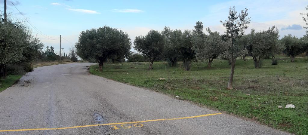 Αγροτεμάχια 1.653 τ.μ. πρός πώληση, Αθήνα - Ανατολικά Προάστια, Κορωπί