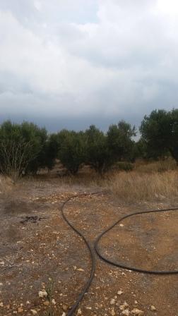 Land plot 9.000 sqm for sale, Achladia, Siteia