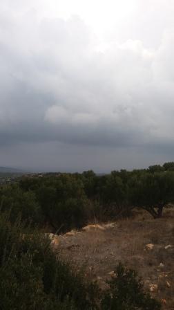 Land plot 9.000 sqm for sale, Achladia, Siteia