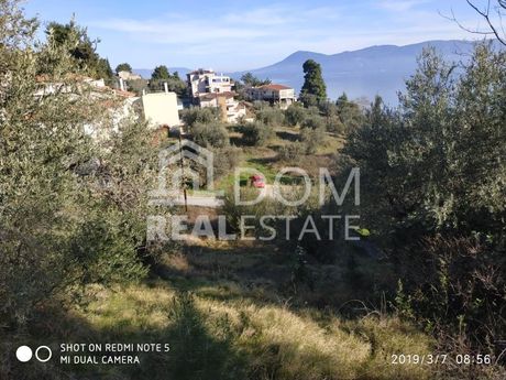 Land plot 431sqm for sale-Agios Konstantinos » Center