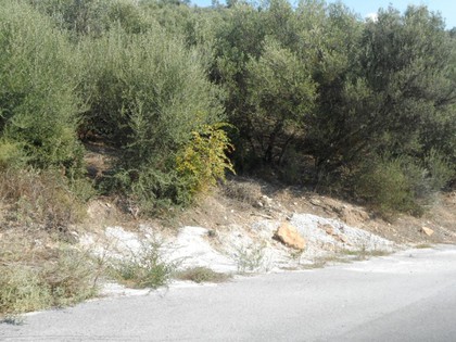 Land plot 1.000sqm for sale-Milies » Agios Georgios Nileias