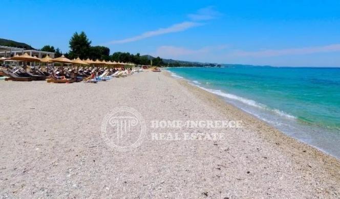 Αγροτεμάχια 28.000 τ.μ. πρός πώληση, Χαλκιδική, Κασσάνδρα