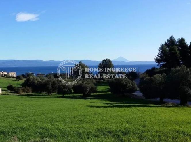 Αγροτεμάχια 28.000 τ.μ. πρός πώληση, Χαλκιδική, Κασσάνδρα