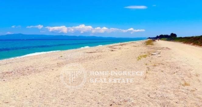 Αγροτεμάχια 28.000 τ.μ. πρός πώληση, Χαλκιδική, Κασσάνδρα