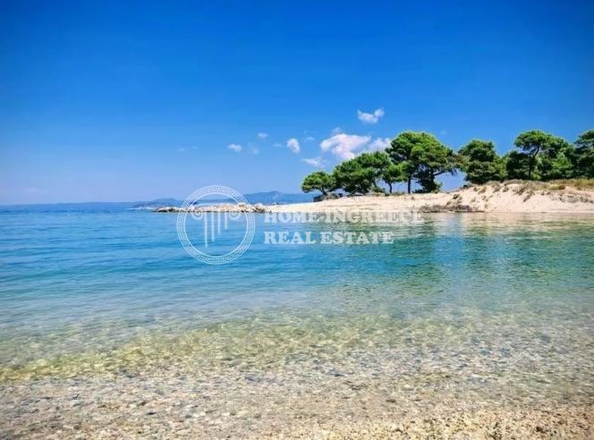 Αγροτεμάχια 28.000 τ.μ. πρός πώληση, Χαλκιδική, Κασσάνδρα
