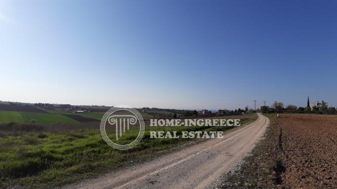 Αγροτεμάχια 15.000 τ.μ. πρός πώληση, Θεσσαλονίκη - Περιφ/Κοί Δήμοι, Θερμαϊκός