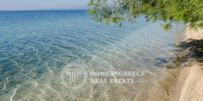 Parcel 55.000sqm for sale-Sithonia » Nikiti