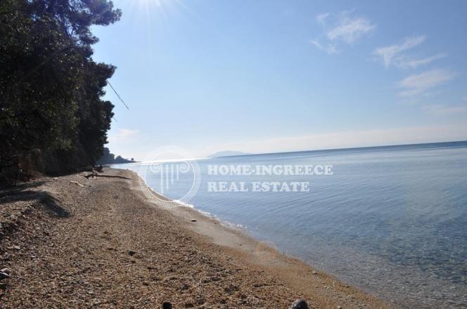 Αγροτεμάχια 55.000 τ.μ. πρός πώληση, Χαλκιδική, Σιθωνία