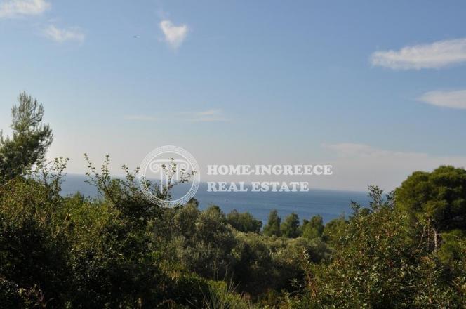 Αγροτεμάχια 55.000 τ.μ. πρός πώληση, Χαλκιδική, Σιθωνία