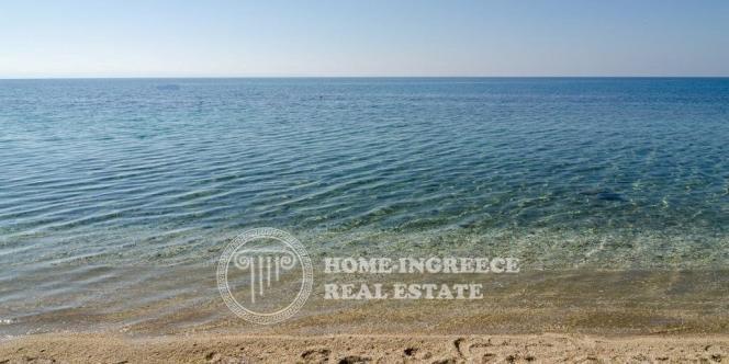 Αγροτεμάχια 55.000 τ.μ. πρός πώληση, Χαλκιδική, Σιθωνία