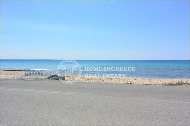 Οικόπεδο 10.000 τ.μ. πρός πώληση, Χαλκιδική, Τριγλία