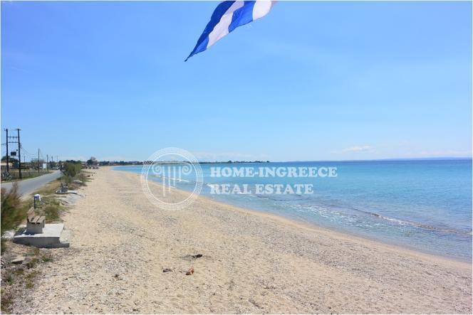 Οικόπεδο 10.000 τ.μ. πρός πώληση, Χαλκιδική, Τριγλία