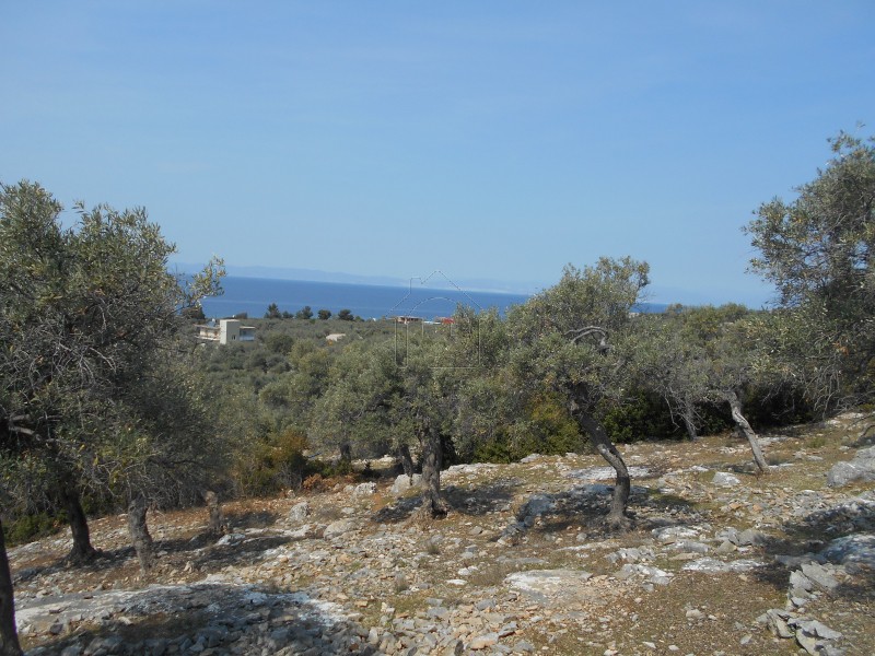 Land plot 2.092 sqm for sale, Kavala Prefecture, Thasos