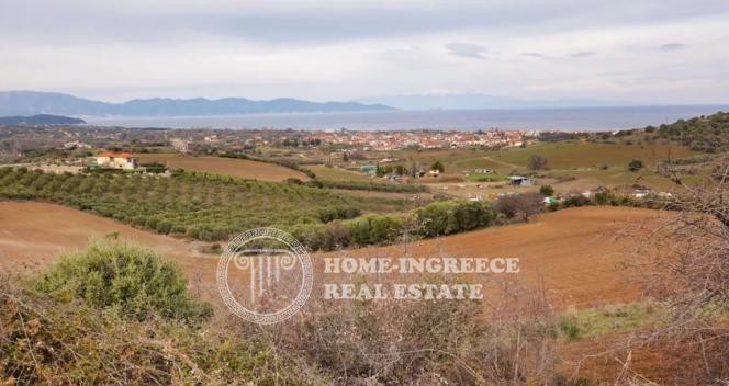 Parcel 18.000sqm for sale-Stagiron - Akanthou » Ierissos