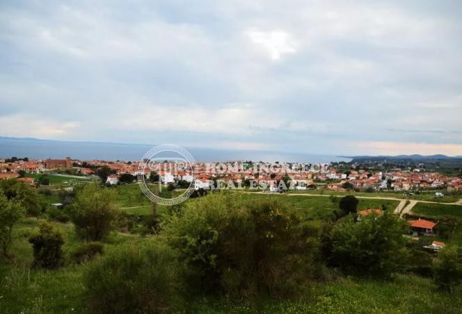 Οικόπεδο 3.454τ.μ. για πώληση-Σιθωνία » Νικήτη