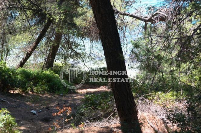 Οικόπεδο 2.000 τ.μ. πρός πώληση, Χαλκιδική, Σιθωνία