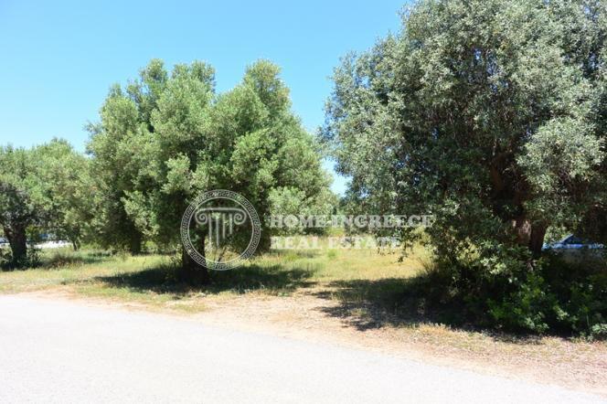 Οικόπεδο 2.000 τ.μ. πρός πώληση, Χαλκιδική, Σιθωνία
