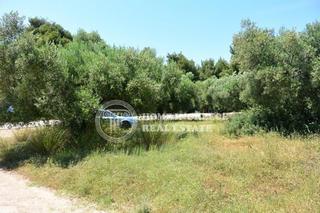 Οικόπεδο 2.000 τ.μ. για πώληση, Χαλκιδική, Σιθωνία-thumb-6